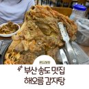 해오름 | 부산 송도 맛집 로컬도 인정하는 해오름감자탕 후기