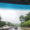 예송김밥 | [예송일상] 2025 한나와의 여름 보내기 (야구직관 &amp; 흠뻑쇼)