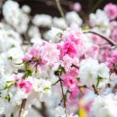 증평도서관 앞 이미지