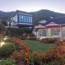 태란 펜션 | 백야도숙소에서 만나는 힐링 여행 - 여수독채펜션 태란펜션