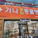 가나종합동물병원 이미지