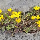 현대자동차수산점 | 제네시스 G80 AWD, 안전벨트 끼임으로 찢어진 도어트림 복원 후기