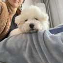 크로스핏 한옥(중화산센터) 이미지