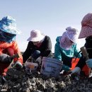 영흥가든 이미지