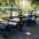 피닉스클럽 이미지