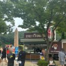 펫-오션 이미지