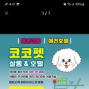 코코펫 살롱 호텔 이미지