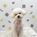 백조미용타운