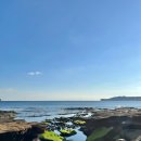 사계바당 이미지