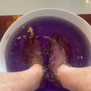 건축사사무소 새로 | 제주 오션뷰 애월마사지 애월르브니아로마 후기