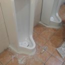 드림월드프라자 이미지