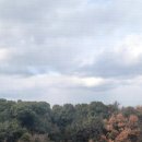 남영세탁 이미지