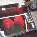 펀치복싱GYM 이미지