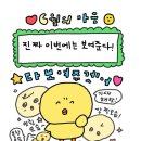 개미스포츠 | 2025 생활스포츠지도사(생체) 2급 보디빌딩 - 합격 후기 (실기&구술 편)