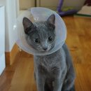 트레벨동물병원 이미지