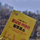 진도천행울금 영농조합법인 | 진도강황영농조합법인 커큐민 발효효소 곡물발효효소 후기, 속 편한 루틴 시작