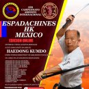 해동검도 이미지