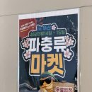 초초펫 | 2026 부산 영도 피아크 파충류 마켓 오픈런 후기