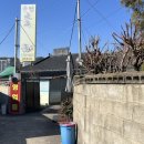 상계리 | 충북 옥천 대전 근교 맛집 우렁골목쌈밥 내돈내산 후기