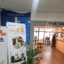 해밀날오후 이미지