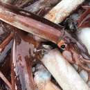 선동목장 이미지