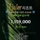 팜투어골프 이미지