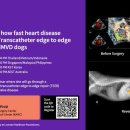 GE메디칼 이미지