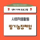 안적동농장 네이버블로그