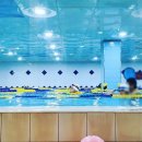 베스트 키즈 풀 이미지