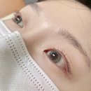 고정씨앤씨 | 삼산동속눈썹펌 잘하는곳 [눈썹작가] 노글루속눈썹펌 후기