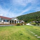 코스모스민박 이미지