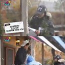 삼시네끼 이미지