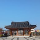 전홍태커피 | [2025고령온누리팸투어 후기] 고것 참 령업하고 싶네