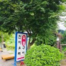 숯불에고기한점 | 남양주 진미오리숯불구이 성시경 미친맛집 블루리본 숯불향 가득 오리고기 맛집 솔직 후기