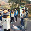 구례고등학교 베리타스알파