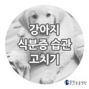 서창사랑동물병원 이미지