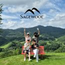 홍천par3골프랜드 | 세이지우드CC 비전코스 공략과 라운드 후기