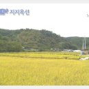 미천면-3 이미지
