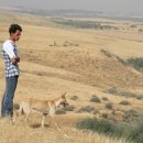 다윗농장 이미지