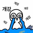홍대미끼 이미지
