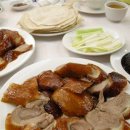 사천오리 Daum카페