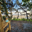 복고바다 이미지