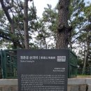 정운공순의비 이미지