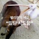 꼬박꼬박작업실 | “너의 작업실”로 책 들고 출동