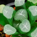 밀레니엄 이미지