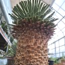 연월농장1 이미지