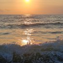 아일랜드리솜 이미지