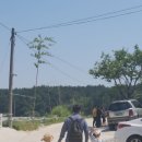 대명농장2 이미지