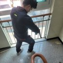 베스트 크린 이미지