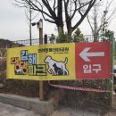 시민운동장 (옥내2) | 김해 댕댕파크 사전예약 후기 | 김해 무료 애견운동장 드디어 생겼어요! 🐶